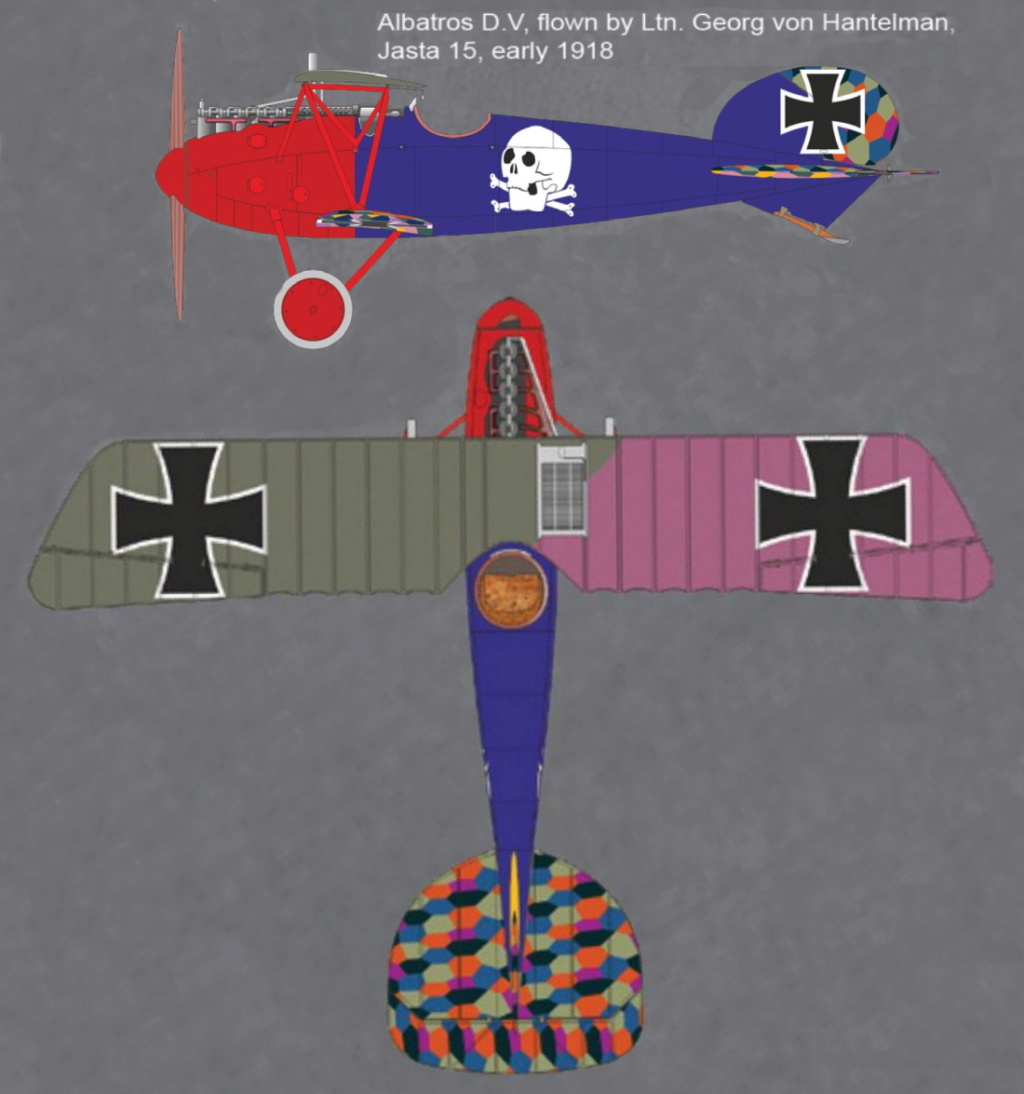 ALBATROS D.V Albatr34