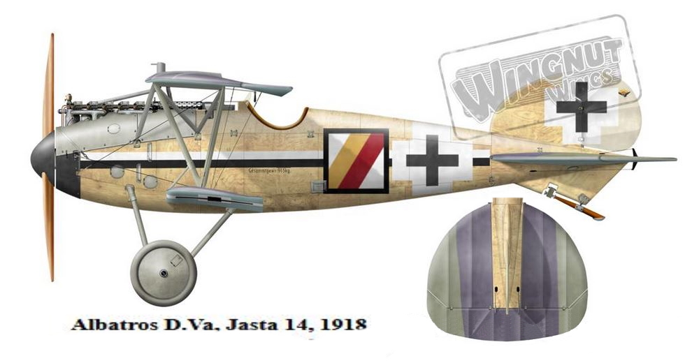 ALBATROS D.V Albatr91