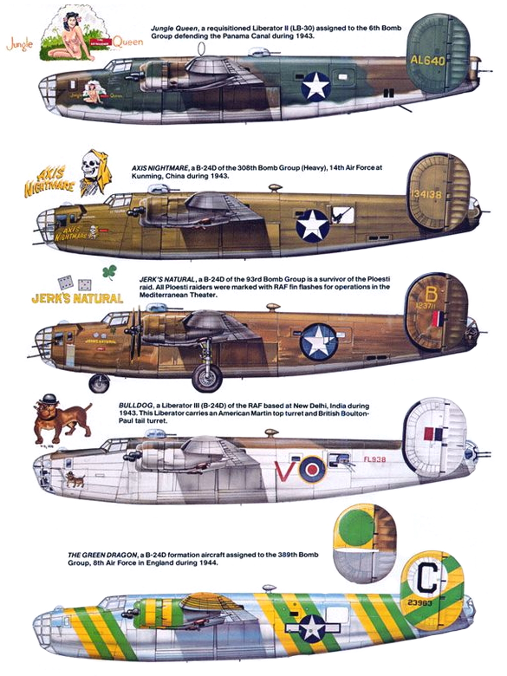 CONSOLIDATED B-24D LIBERATOR  B24-5c10