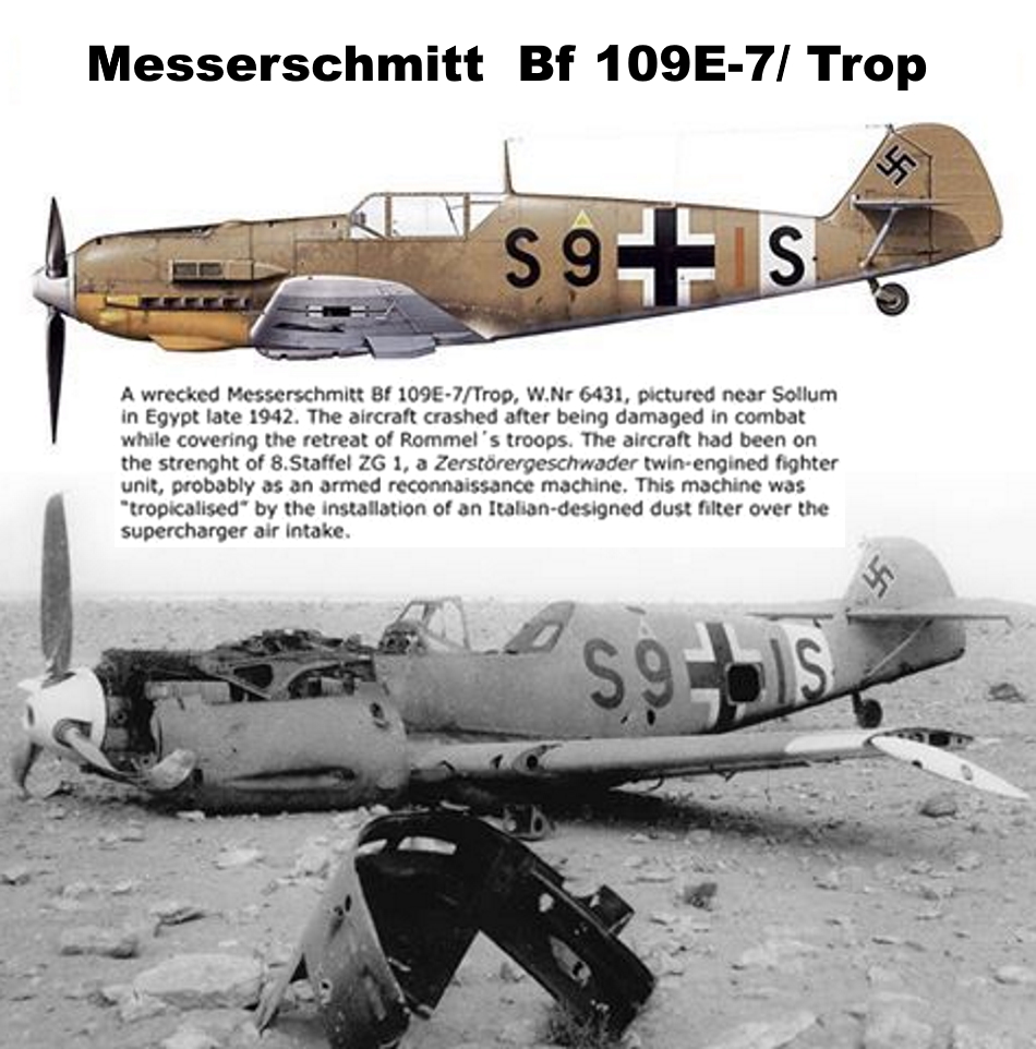 MESSERSCHMITT Bf 109 E Bf_10131