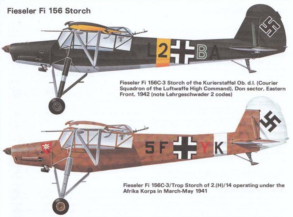 FIESELER  Fi 156  STORCH Fi_15639