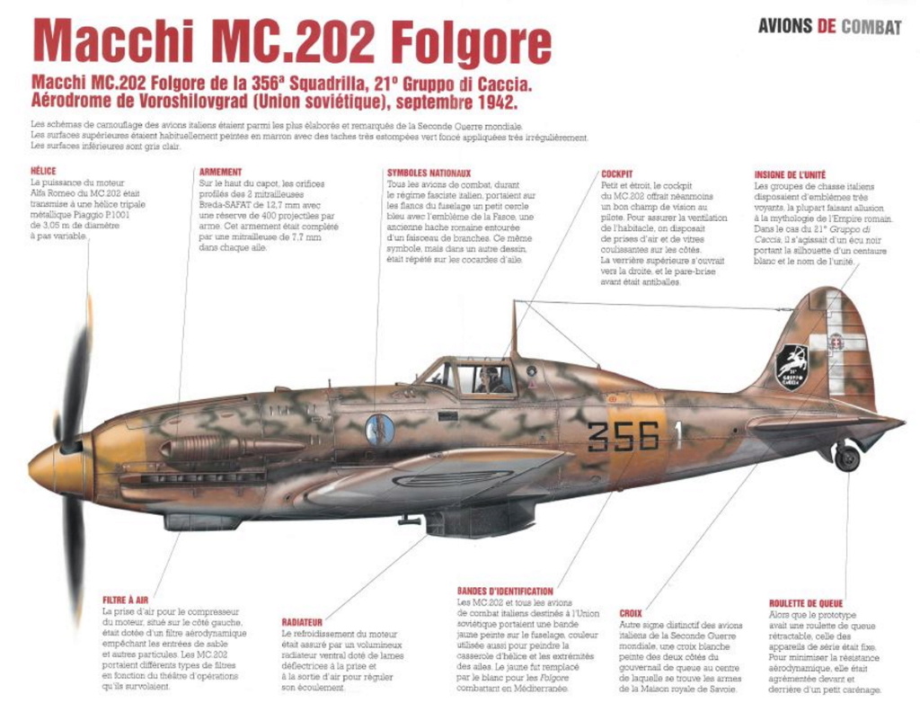 MACCHI C 202 FOLGORE Folgor11