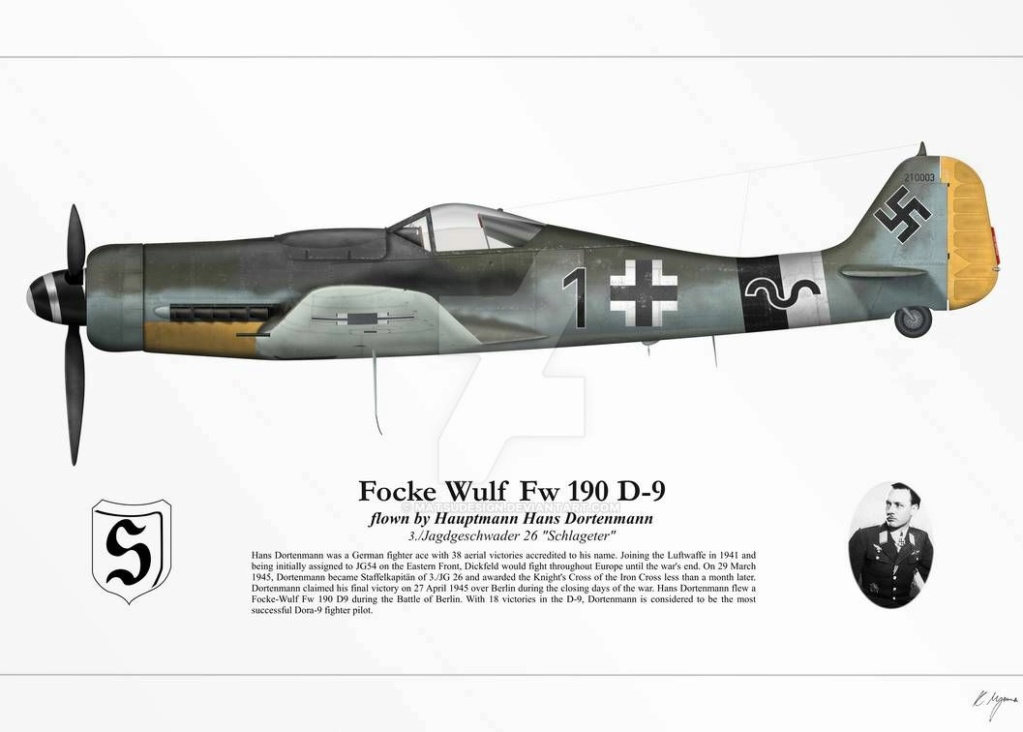 FOCKE-WULF FW.190 D Fw_19010