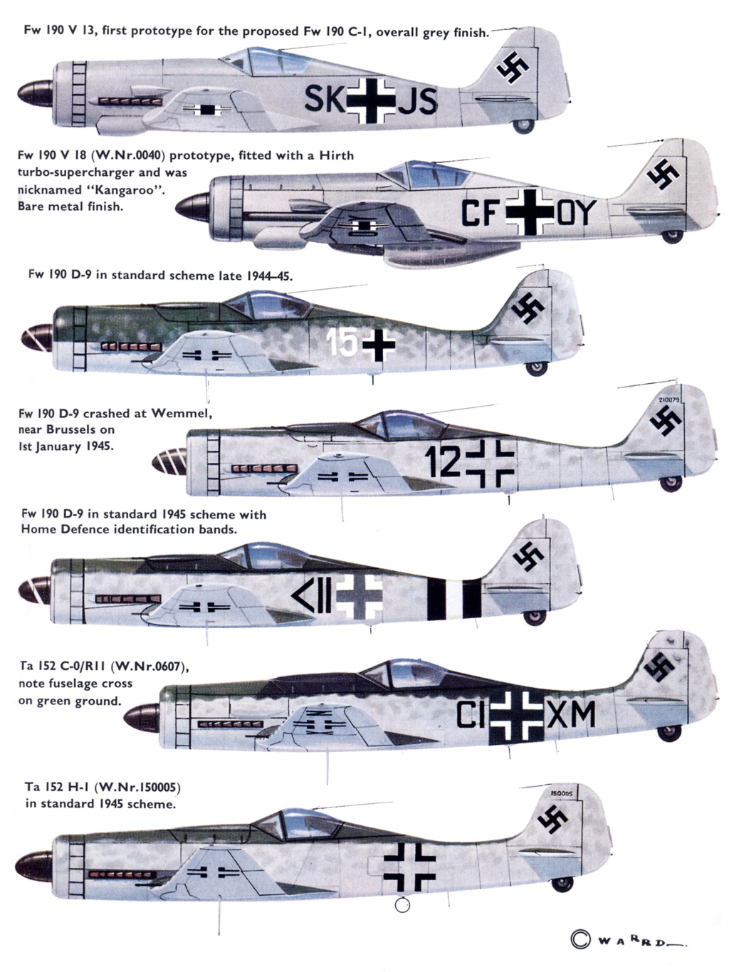 FOCKE-WULF FW.190 D Fw_19072