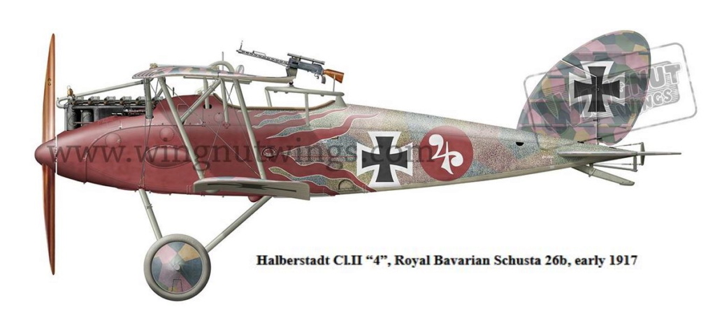 HALBERSTADT  CL.II Halber13