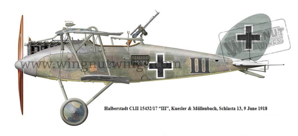 HALBERSTADT  CL.II Halber17