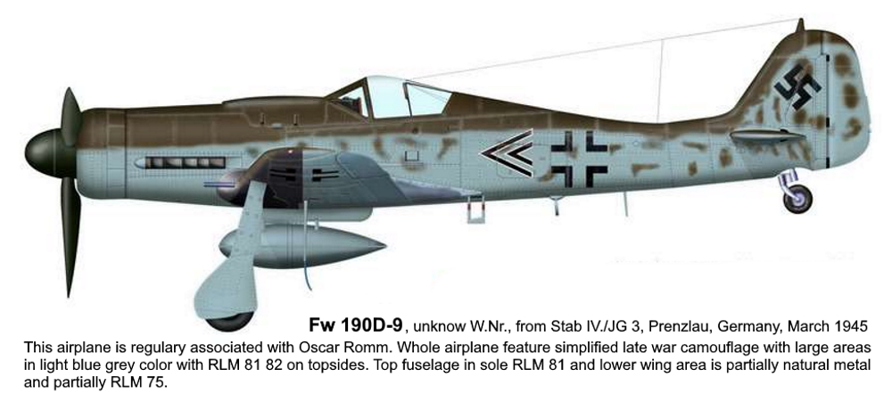 FOCKE-WULF FW.190 D Lllwar11