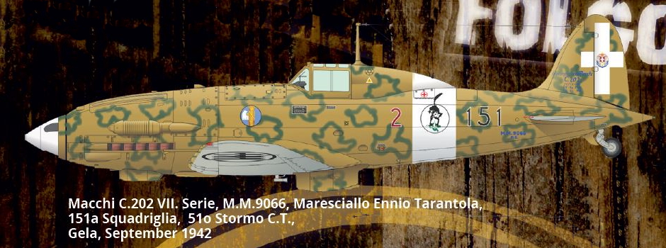 MACCHI C 202 FOLGORE M-c_2019