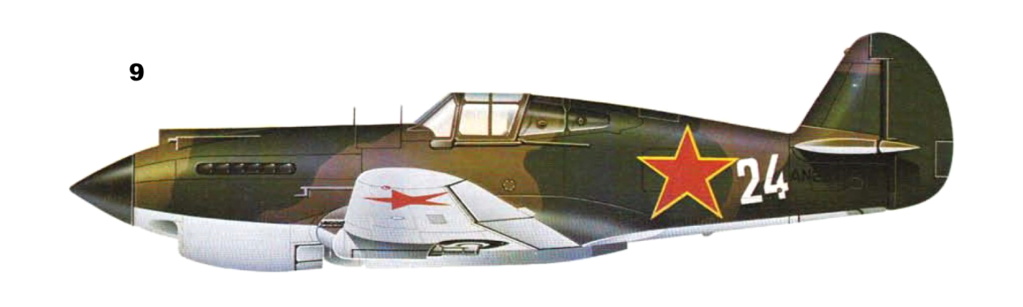 CURTISS P-40 P-40b-19