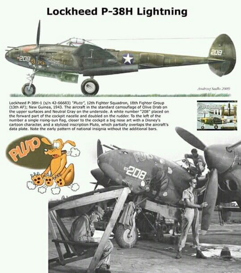 LOCKHEED P-38 LIGHTNING P38_h_15