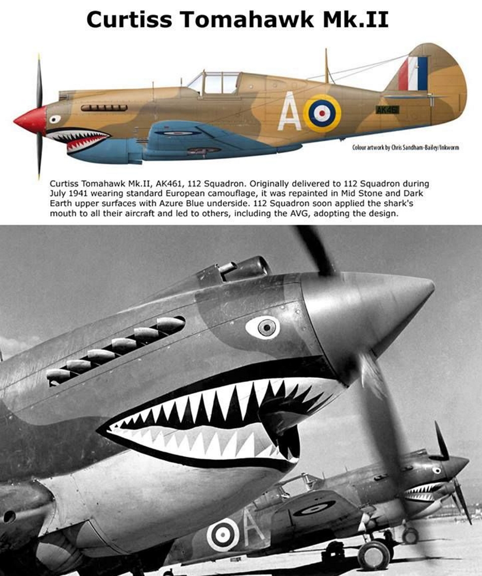 CURTISS P-40 P40-to12