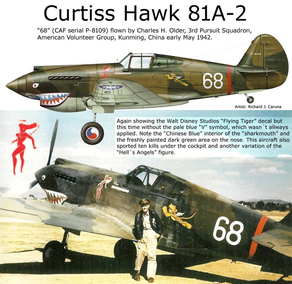 CURTISS P-40 P40b-310