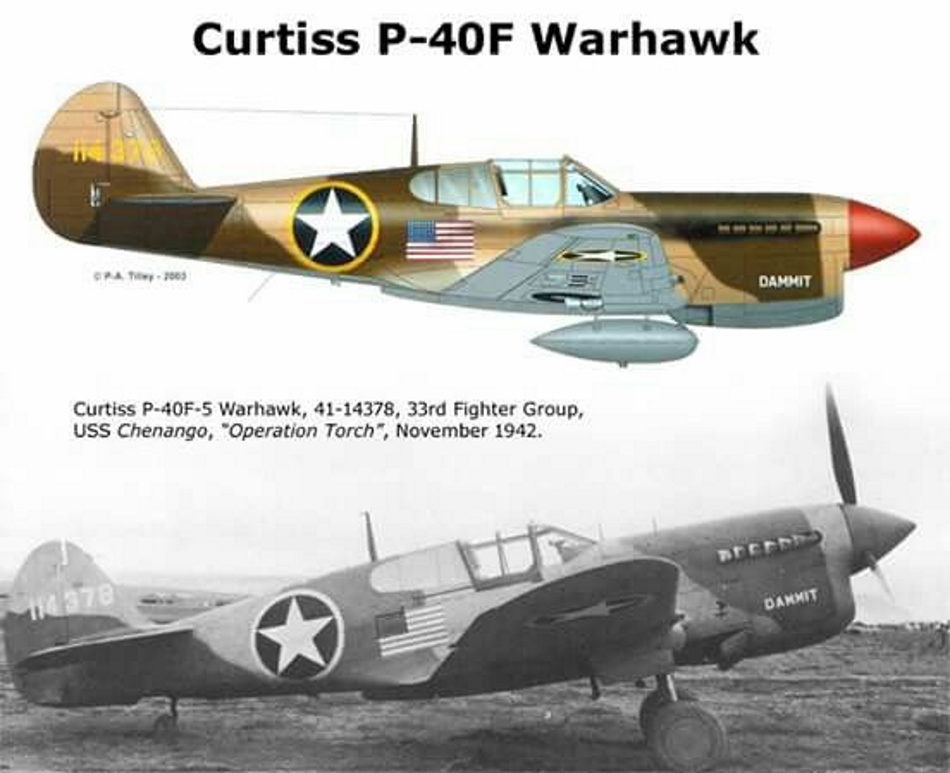 CURTISS P-40 P40f-w10