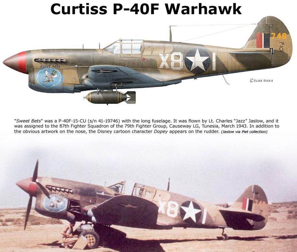 CURTISS P-40 P40f-w12