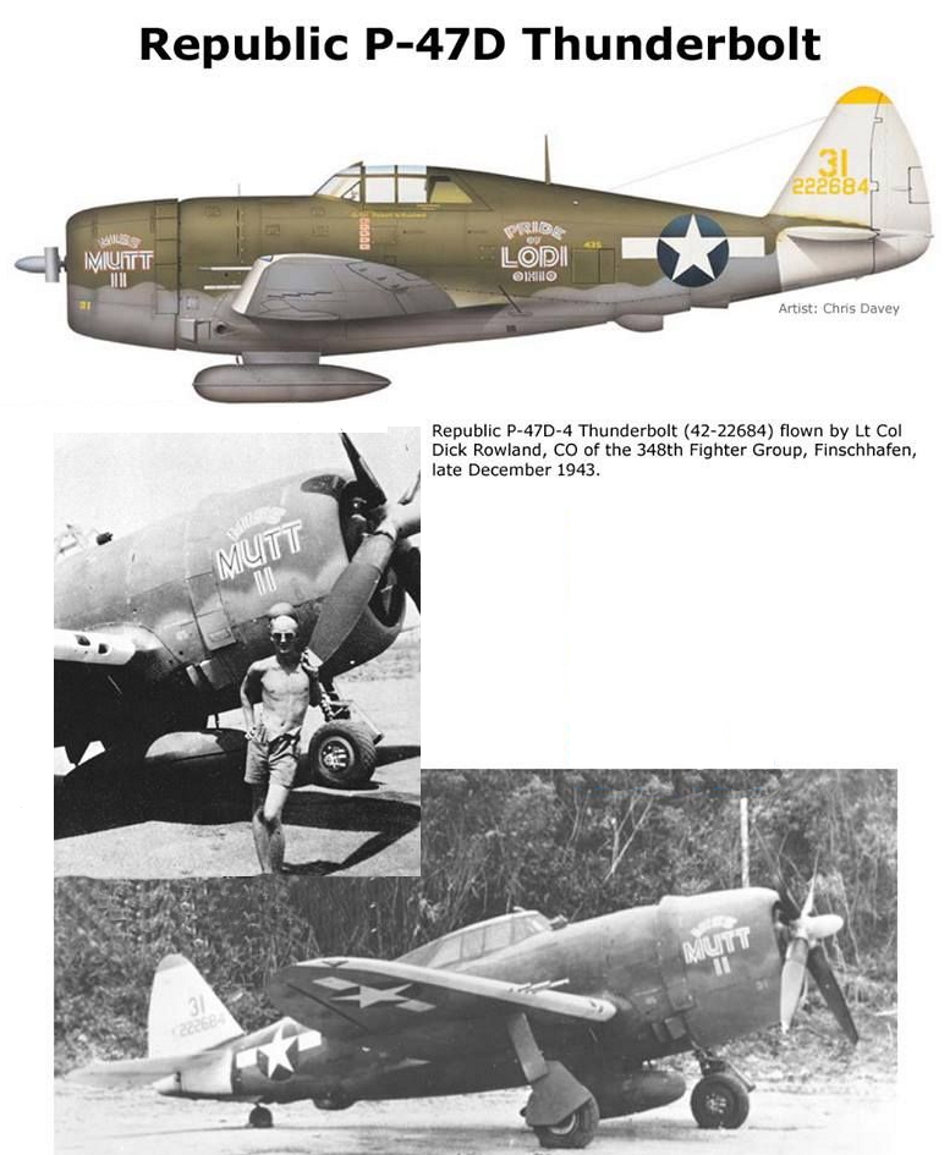 REPUBLIC P-47 THUNDERBOLT P47-d-22