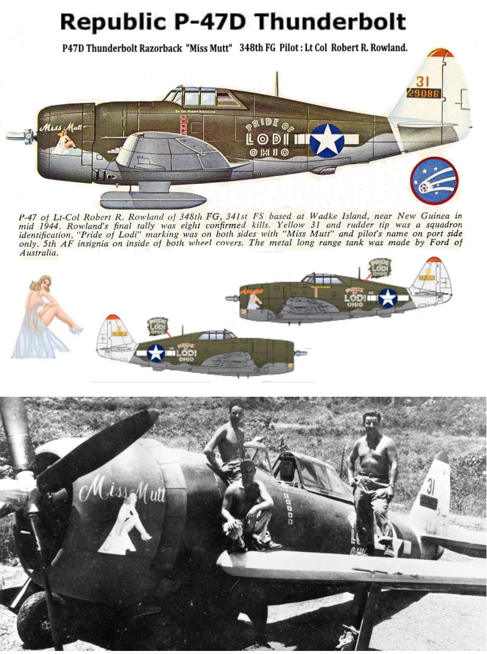 REPUBLIC P-47 THUNDERBOLT P47-d-23