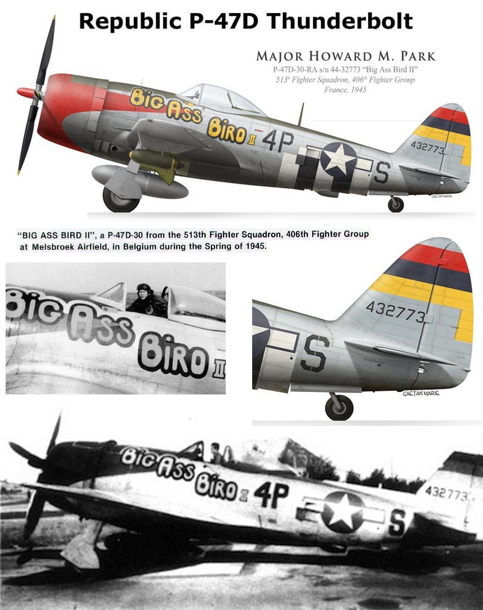 REPUBLIC P-47 THUNDERBOLT P47-d-40