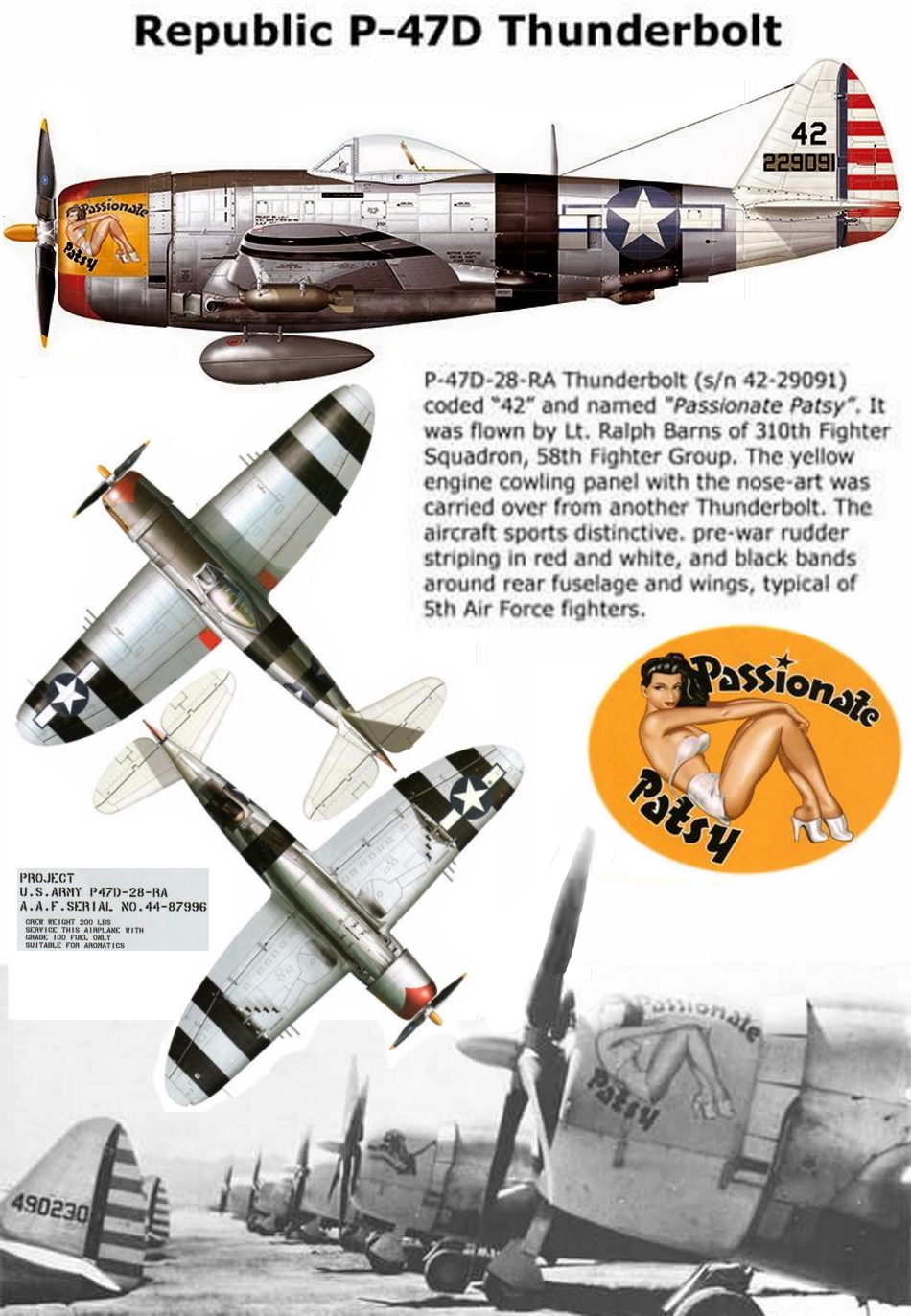 REPUBLIC P-47 THUNDERBOLT P47-d-41