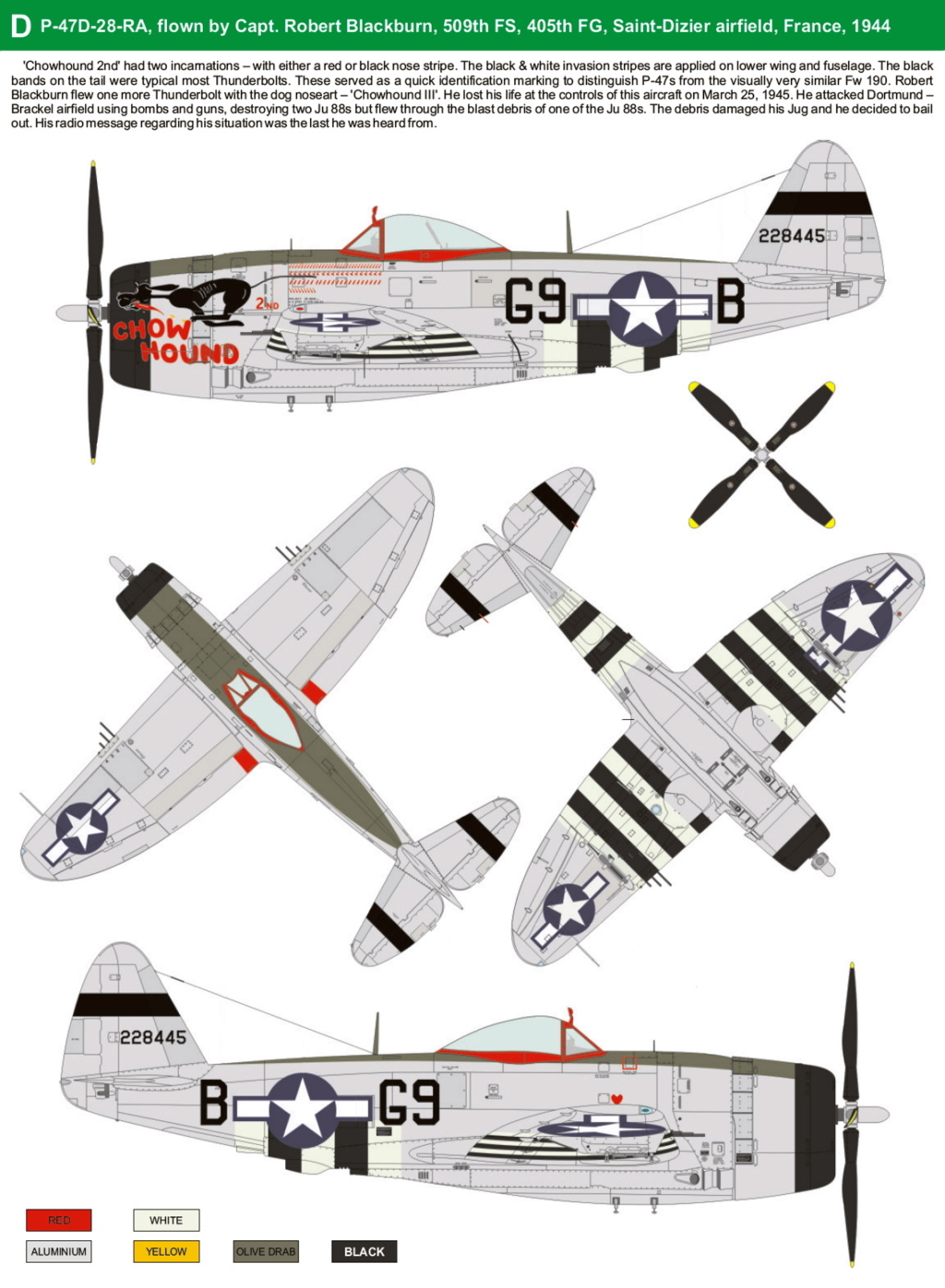 REPUBLIC P-47 THUNDERBOLT P47-d-62