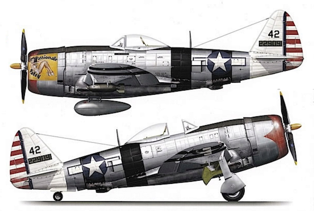 REPUBLIC P-47 THUNDERBOLT P47-d-69