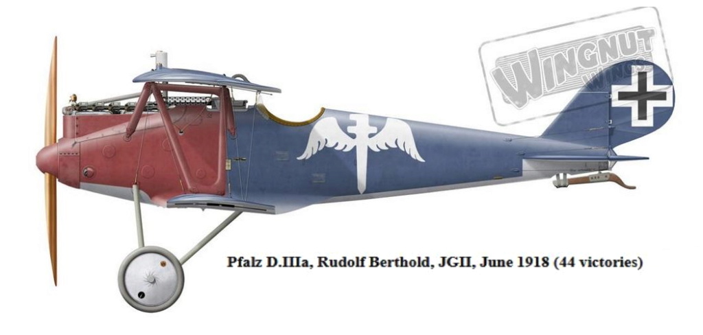 PFALZ D.III Pfalz_17