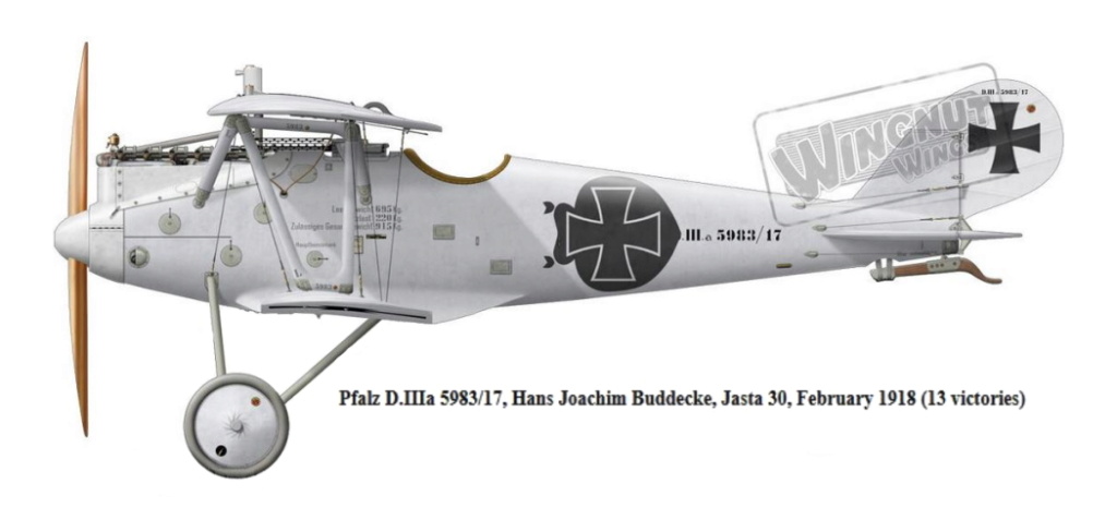 PFALZ D.III Pfalz_23