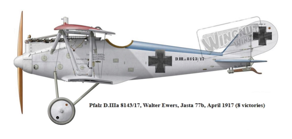 PFALZ D.III Pfalz_24