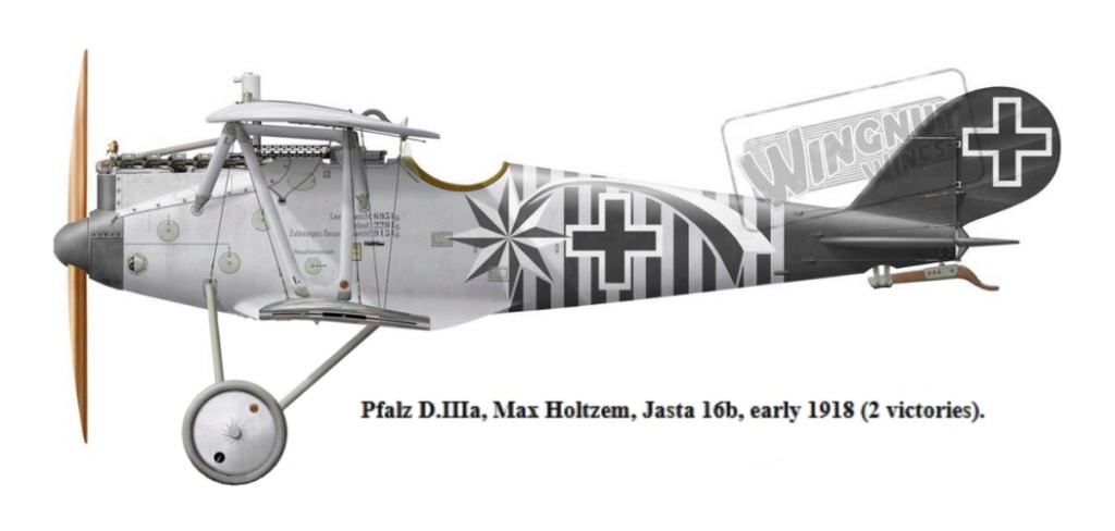 PFALZ D.III Pfalz_27