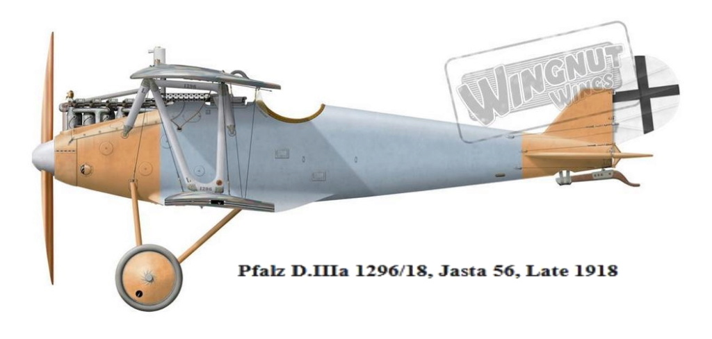 PFALZ D.III Pfalz_30