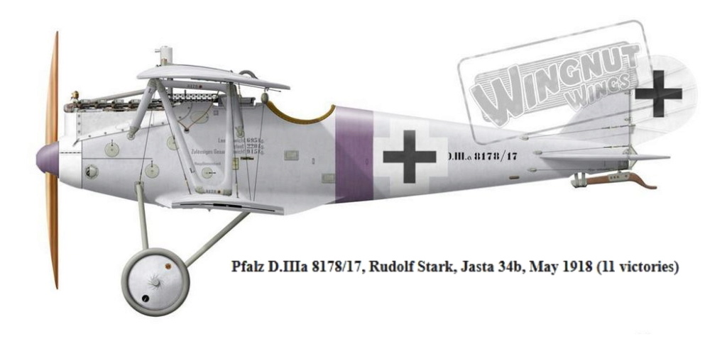 PFALZ D.III Pfalz_31