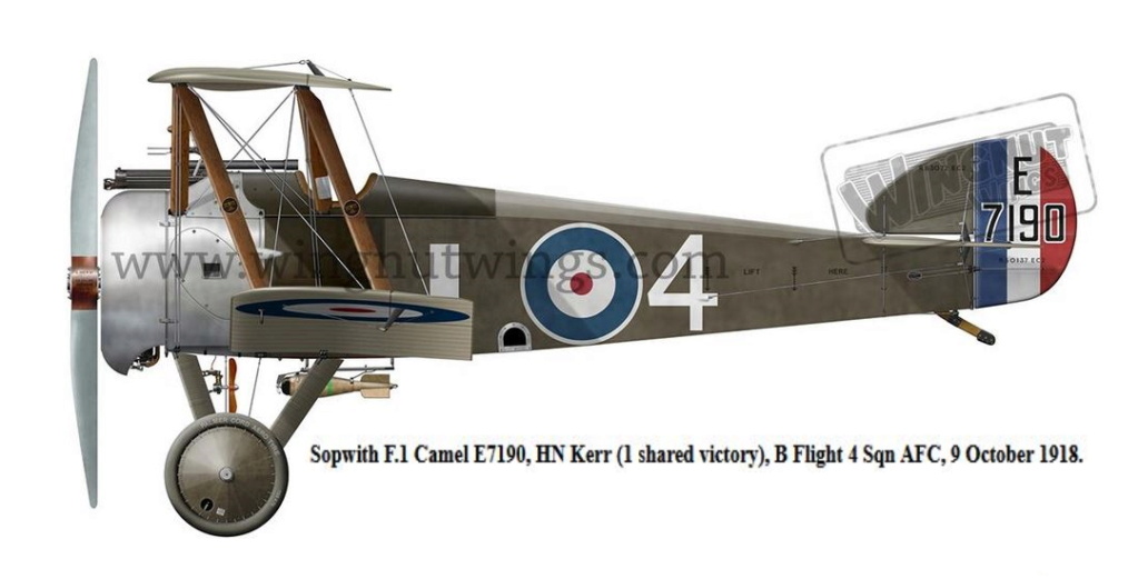 SOPWITH CAMEL Sopwit32