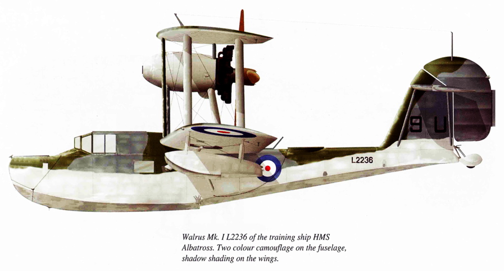 SUPERMARINE WALRUS Walrus25