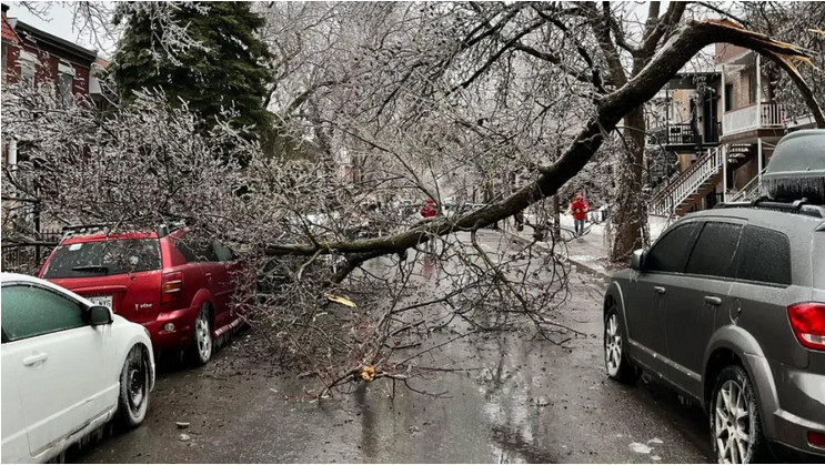 Verglas au Québec Vergla12