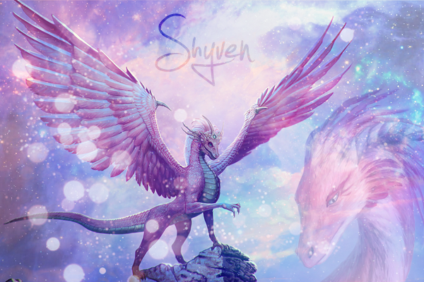 Cadeau pour Shyven de la part de Nyana Shyven10