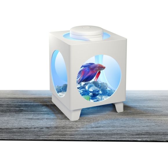 Le Salon-Le lieu où l'on parle de tous et de rien et pas forcément en rapport avec l'aquariophilie ! - Page 4 Tetra-10