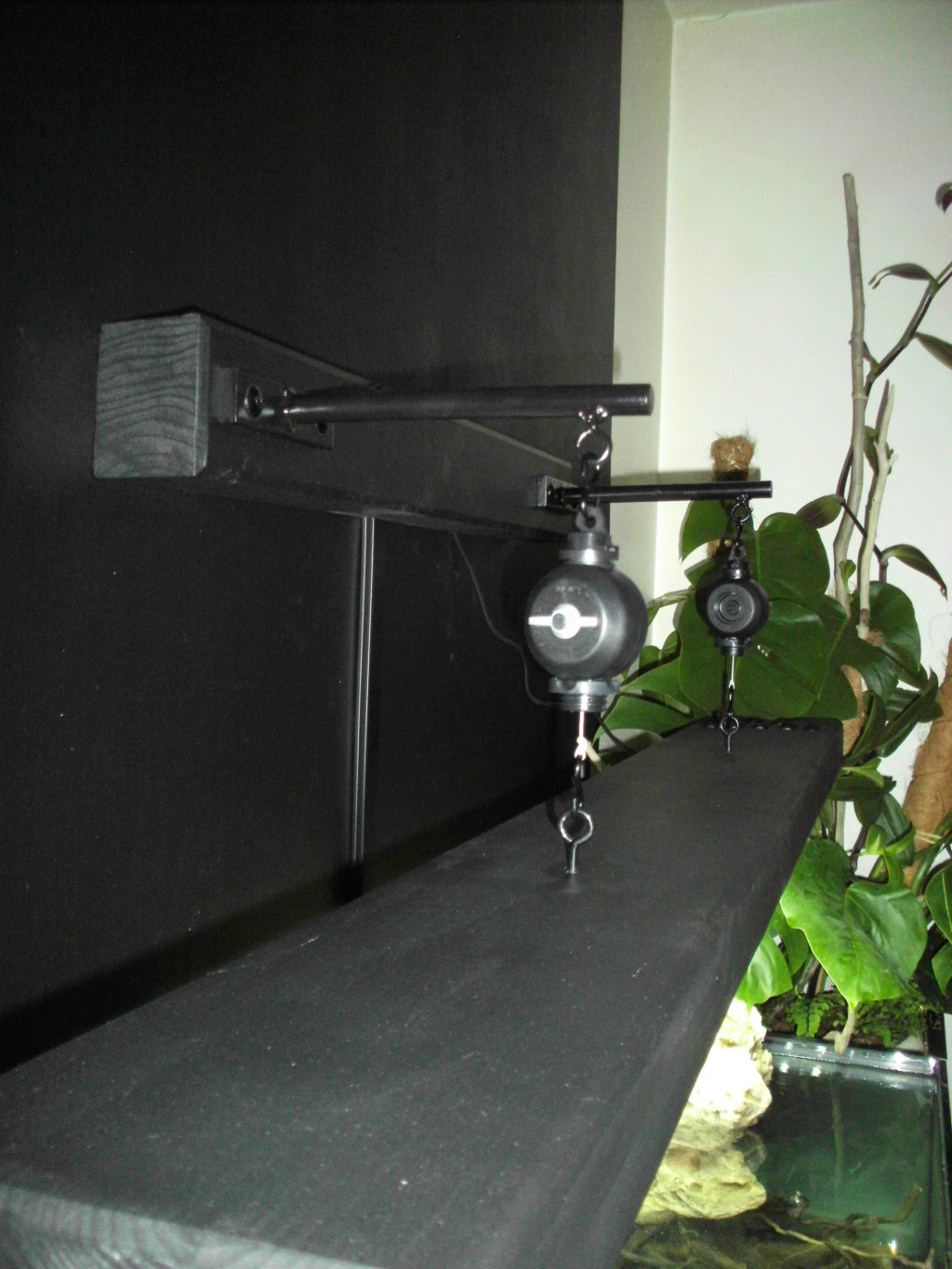 Amazonien 250L Imag0512