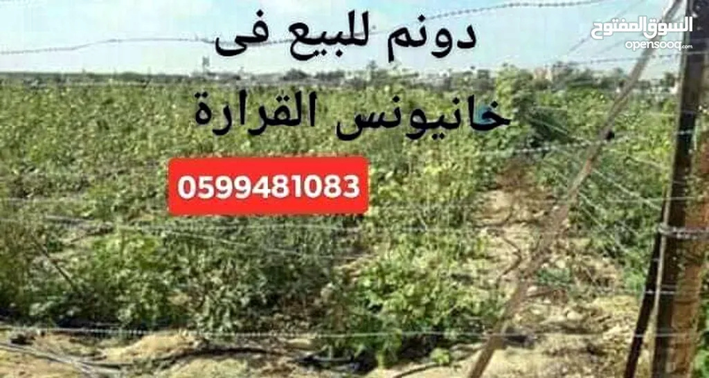 للبيع اراضي في خانيونس القرارة زراعيه وتربه خصبه واسعار مناسبه F97b5a10