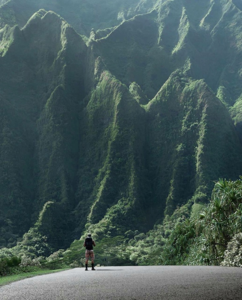 Green Hills in Oahu, Hawaii   Photographer Robert Law. Phot1124