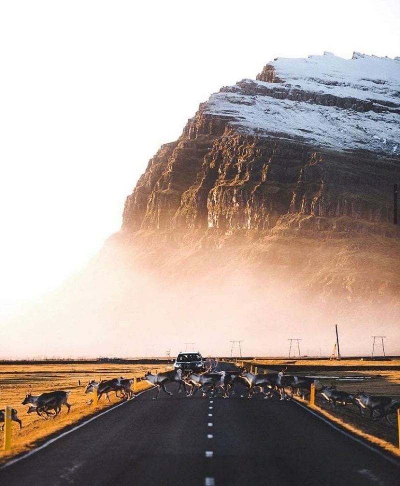 Удивительный мир исландских дорог Phot1192