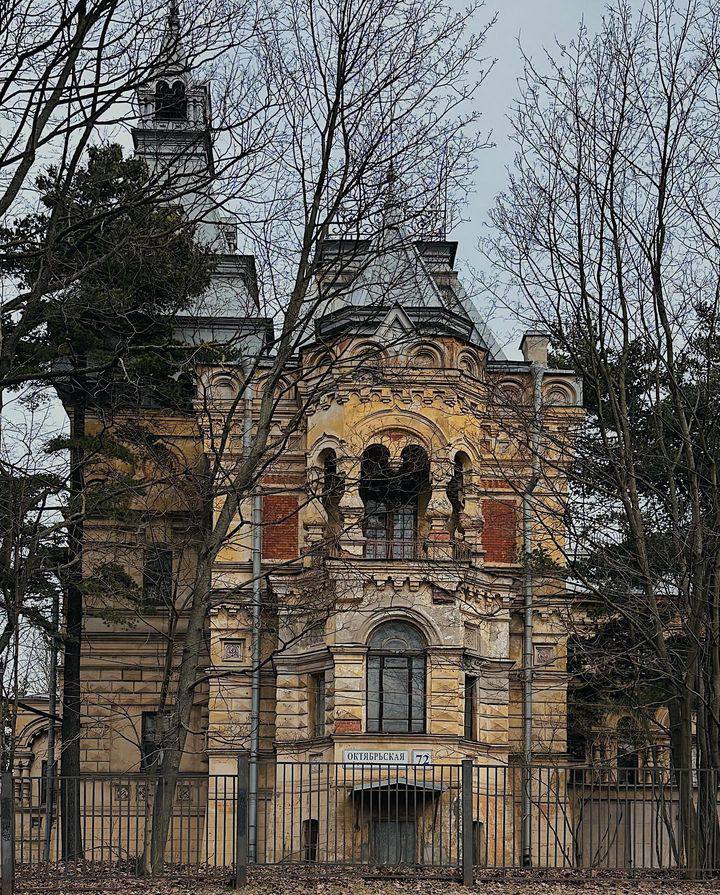 Заброшенная дача Чернова, известную также как Сосновка на правом берегу Невы.  Phot1419