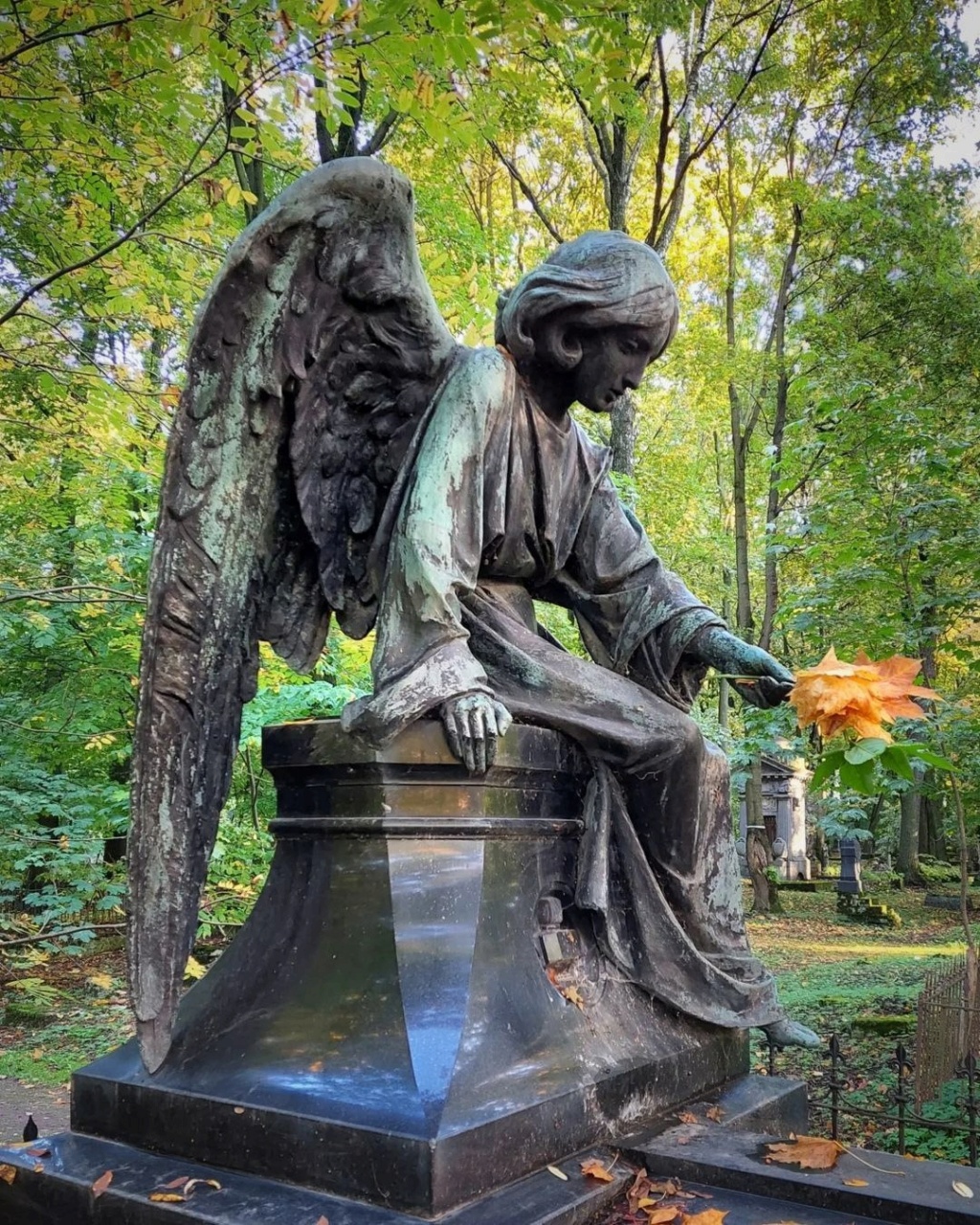 Склепы и красивые статуи на Новодевичьем кладбище  Photo653