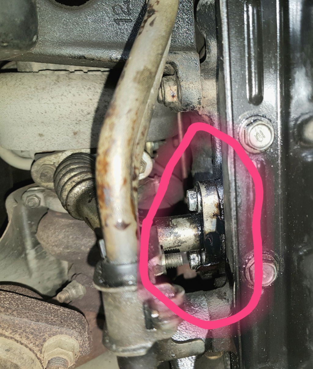 Oil leak from ??? Don't know the part name  20210616