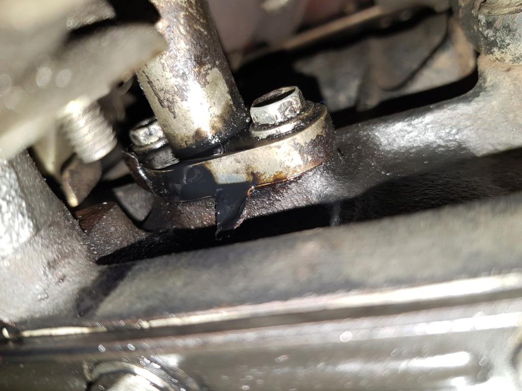 Oil leak from ??? Don't know the part name  20210619
