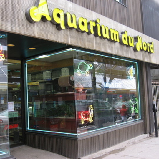 Aquarium du Nord sur la Plaza St-Hubert , Montréal , Canada  Aquari16