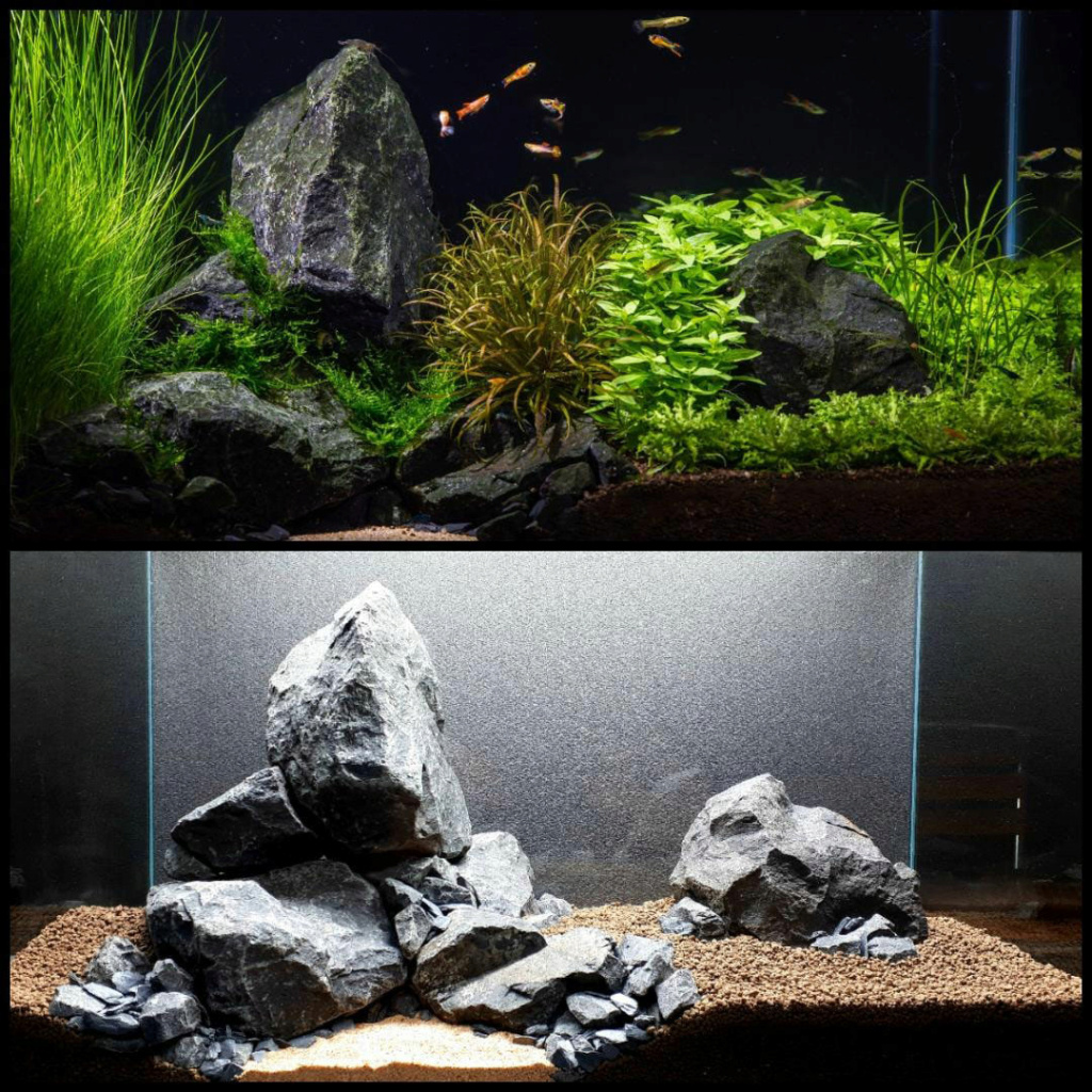 Découverte du net ( aquarium aquascaping ) Des idées pour vous cool !  Fou1-c10