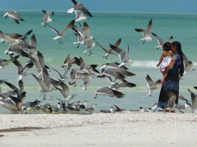 pays ouvert aux voyages le Mexique Cote-y10