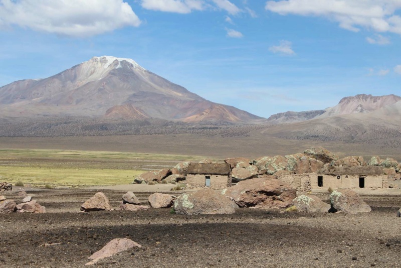 Chemins oubliés de Bolivie Sajama13