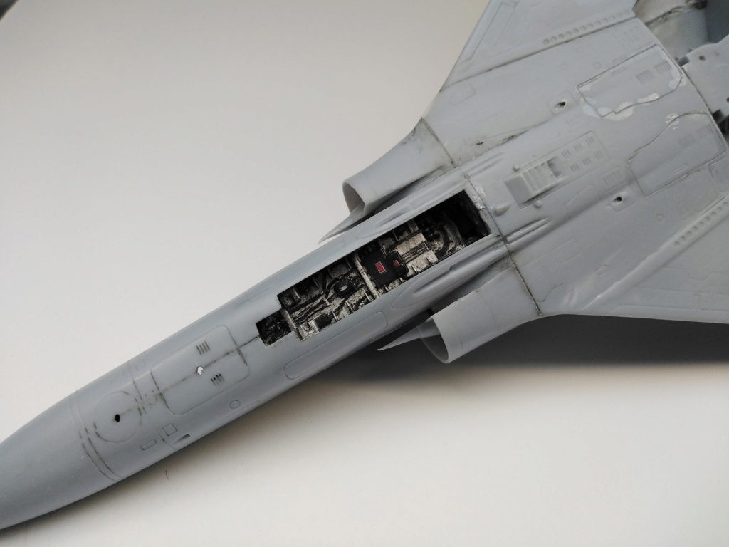 [Heller] 1/48 - Dassault Mirage 2000C  Img_2047