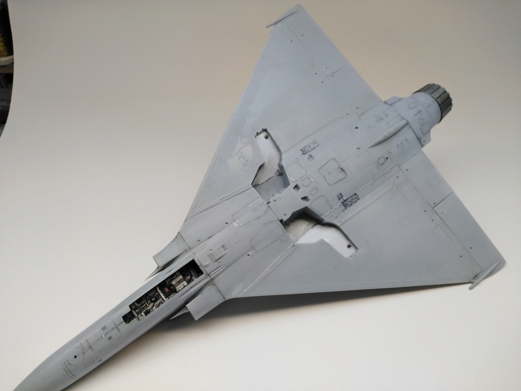 [Heller] 1/48 - Dassault Mirage 2000C  Img_2048