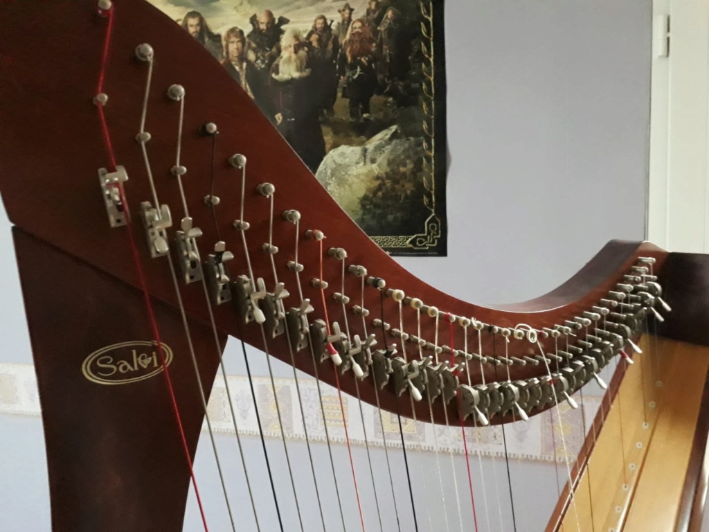 Quel est le modèle de cette harpe Img-2012
